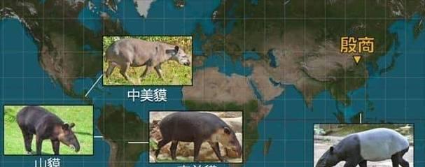 追寻线索，解开孙美琪疑案之谜（以游戏为主的侦探之旅）