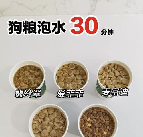 《大王不高兴手游狗粮，营养好、口感佳！》（让你的战队营养更丰富，战斗更有力量！）