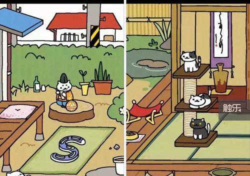猫咪后院特殊猫收集攻略（探秘特殊猫怎么收集，解锁更多隐藏彩蛋）