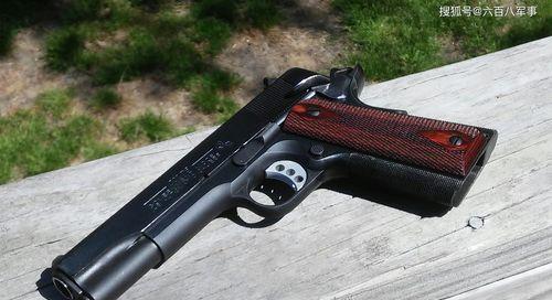 《双生视界》手枪型武器攻略（掌握双生视界手枪型武器的使用技巧，享受最佳游戏体验）