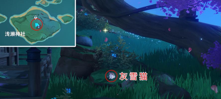 《原神》凶猛动物挑战攻略（挑战获得宝藏，如何击败凶猛动物？）