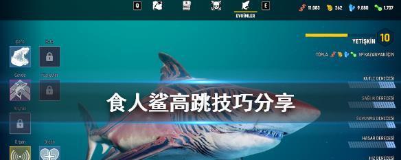 《以丛林法则大逃杀》窗户跳跃操作详解（玩法攻略）