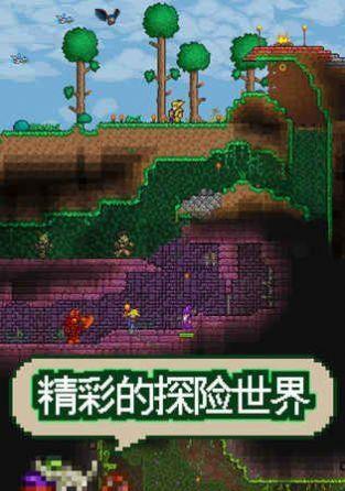 泰拉瑞亚天界壳的神奇作用（探秘游戏中最重要的地图组成部分）