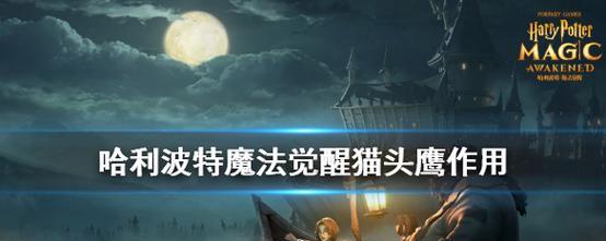 《哈利波特魔法觉醒》中制作缓和剂攻略（成为魔法师的必备技能——学会制作缓和剂）