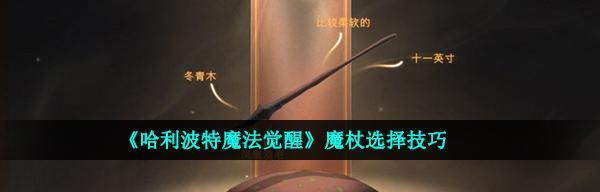《魔法觉醒中秋灯谜暗号攻略》（解密秘籍，成为魔法大师！）