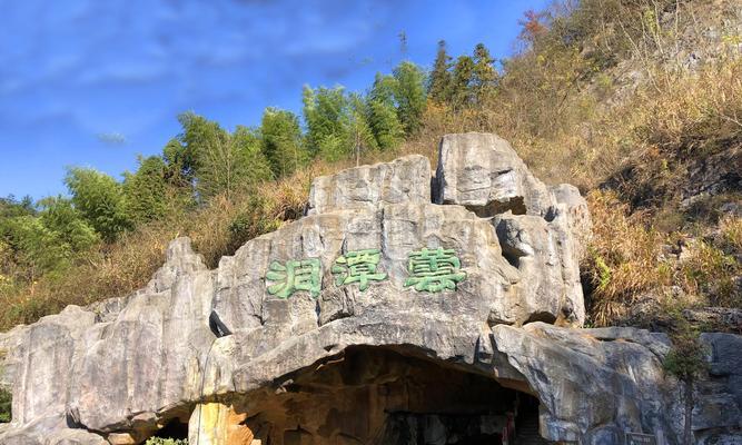 《以众生游》阅读条件达成方法详解（让你轻松掌握《以众生游》的阅读技巧）