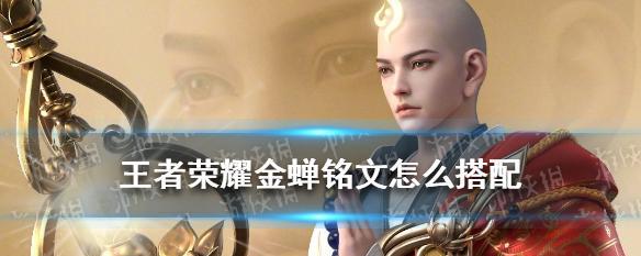 金蝉五级铭文搭配攻略（如何优化铭文配置打造强力英雄）