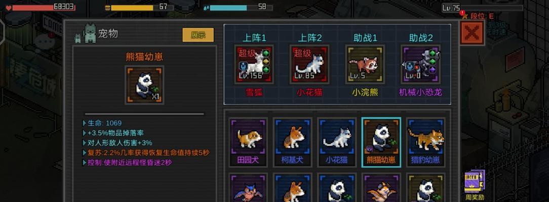 懒宠的起源地——探秘懒属于什么型宠物（揭开神秘的宠物世界）