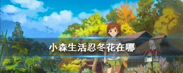 如何在小森生活中获得抗雾衣服（游戏中的生存技巧）