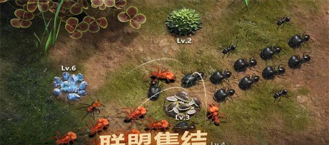 《小小蚁国》搬砖攻略（通过合理规划和技能升级）