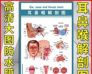 以人体工厂鼻腔清理怎么过-鼻腔通畅的秘诀（以游戏为主）