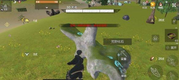 妄想山海大猩猩（大猩猩的踪迹与秘密揭示）