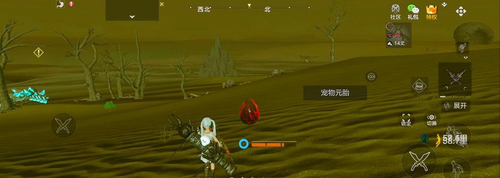 迷失在妄想山海异人村（在游戏中寻觅神秘NPC）