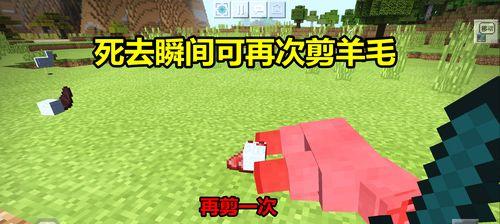 探索我的世界（揭开我的世界中你们所不知道的事）