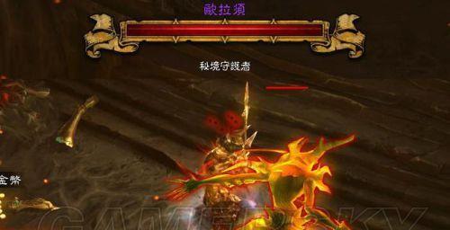 《探索非匿名指令艾蕾嘉尔技能一览》（解锁游戏中的强大技能）