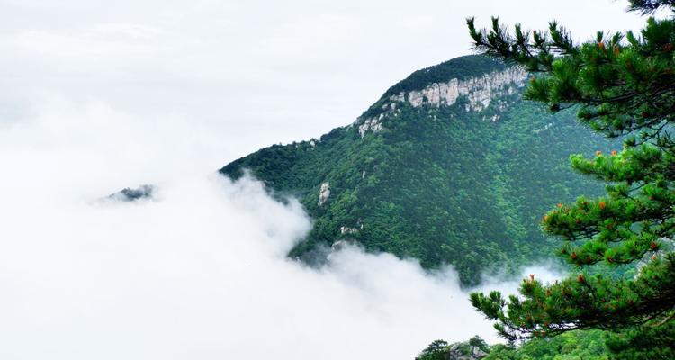 食之契约庐山云雾台词大全有哪些？台词背后的故事是什么？