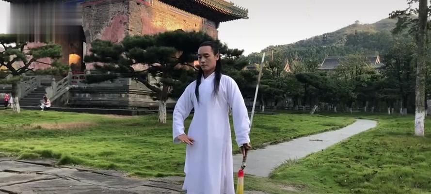 武当职业技能如何加点？剑荡八荒武当详解是什么？