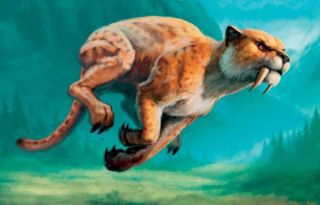 如何在魔兽世界中获取宝石猎豹？有哪些技巧和方法？