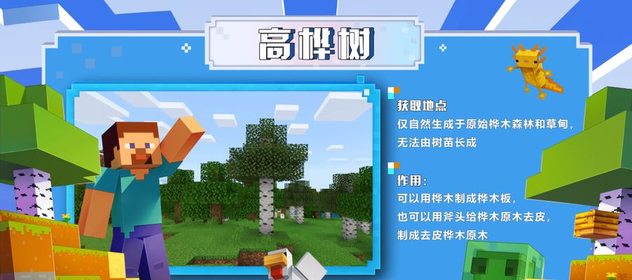 我的世界组织结构是怎样的？它有哪些特点？