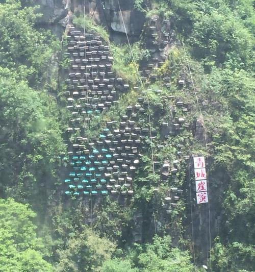 拜水问道如何讲述故事？有哪些故事线可以选择？
