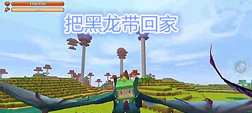 迷你世界黑龙训练方法是什么？