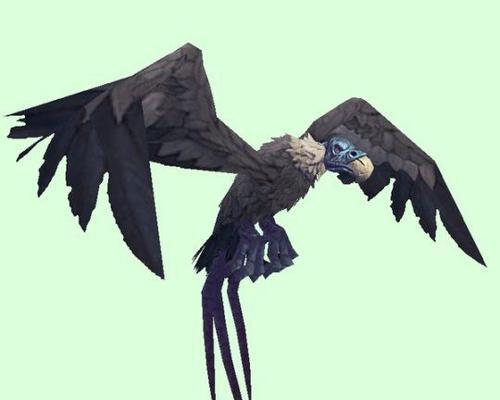魔兽世界20级秃鹫战斗技巧是什么？