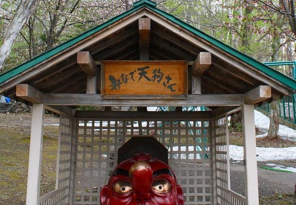达愿福神社在哪里可以玩？游玩体验如何？