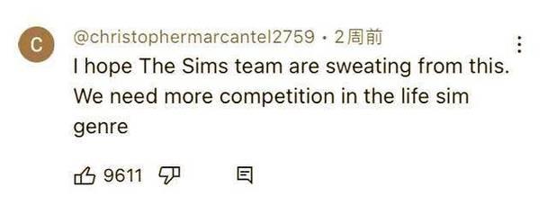 inzoi配置要求有哪些？如何满足？