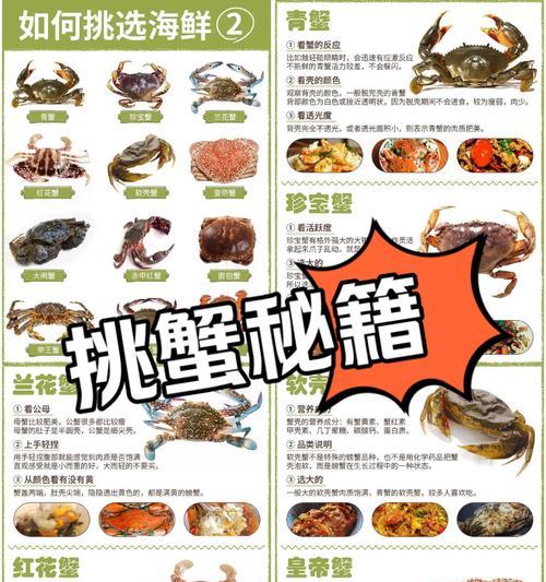 潜水员戴夫如何应对螃蟹攻击？有哪些有效的击退方法？