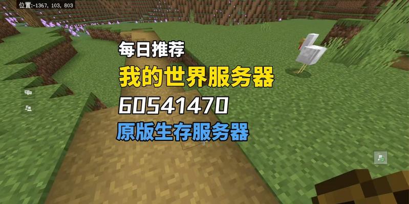 我的世界服务器生存技巧有哪些？