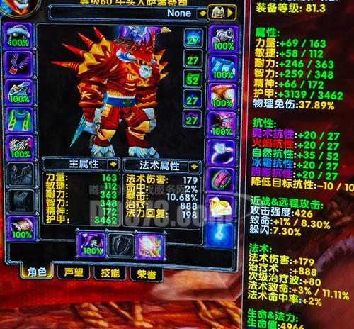 乌龟魔兽世界萨满玩法有哪些？如何提升萨满技能？