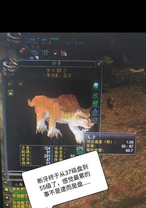 魔兽世界断牙猪获取条件是什么？