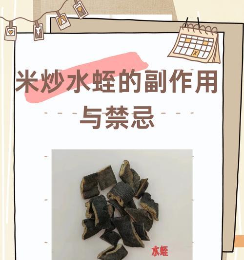 我的世界中蛭的制作方法是什么？需要哪些材料和步骤？
