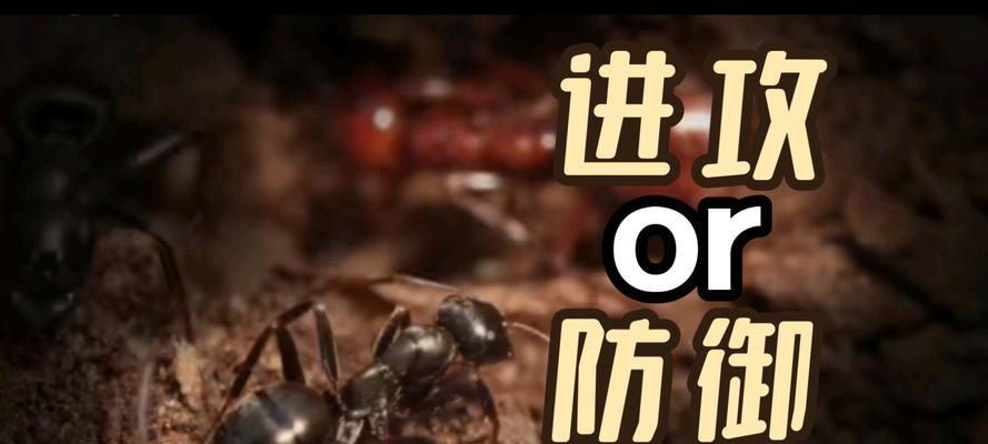 英雄联盟对战蚂蚁的策略？如何有效对抗蚂蚁？