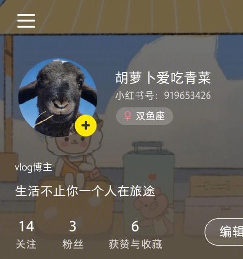 青鸟英雄联盟博主的真实身份是什么？