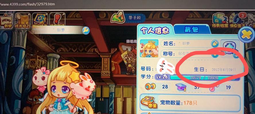 洛克王国在iPad上如何玩？兼容性问题如何解决？