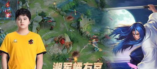 王者荣耀湘军代表哪个职业？湘军的特色是什么？