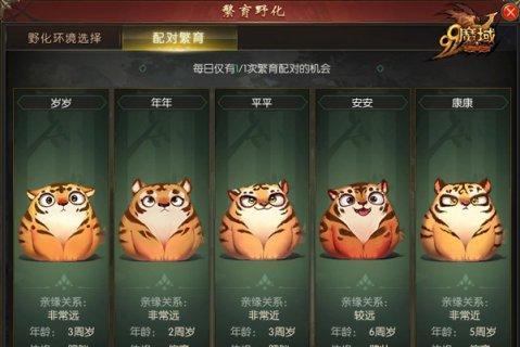 魔域老虎选什么宠物好打？宠物搭配有哪些策略？