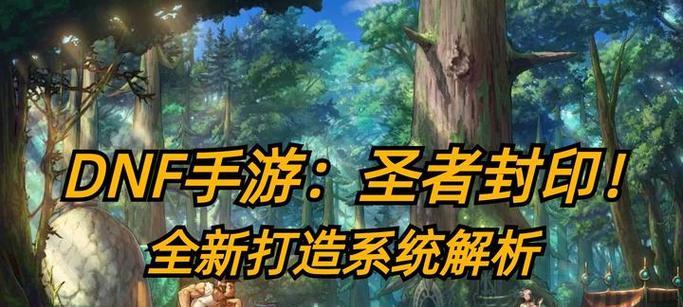 dnf判罪者适合携带哪些圣者封印？选择依据是什么？