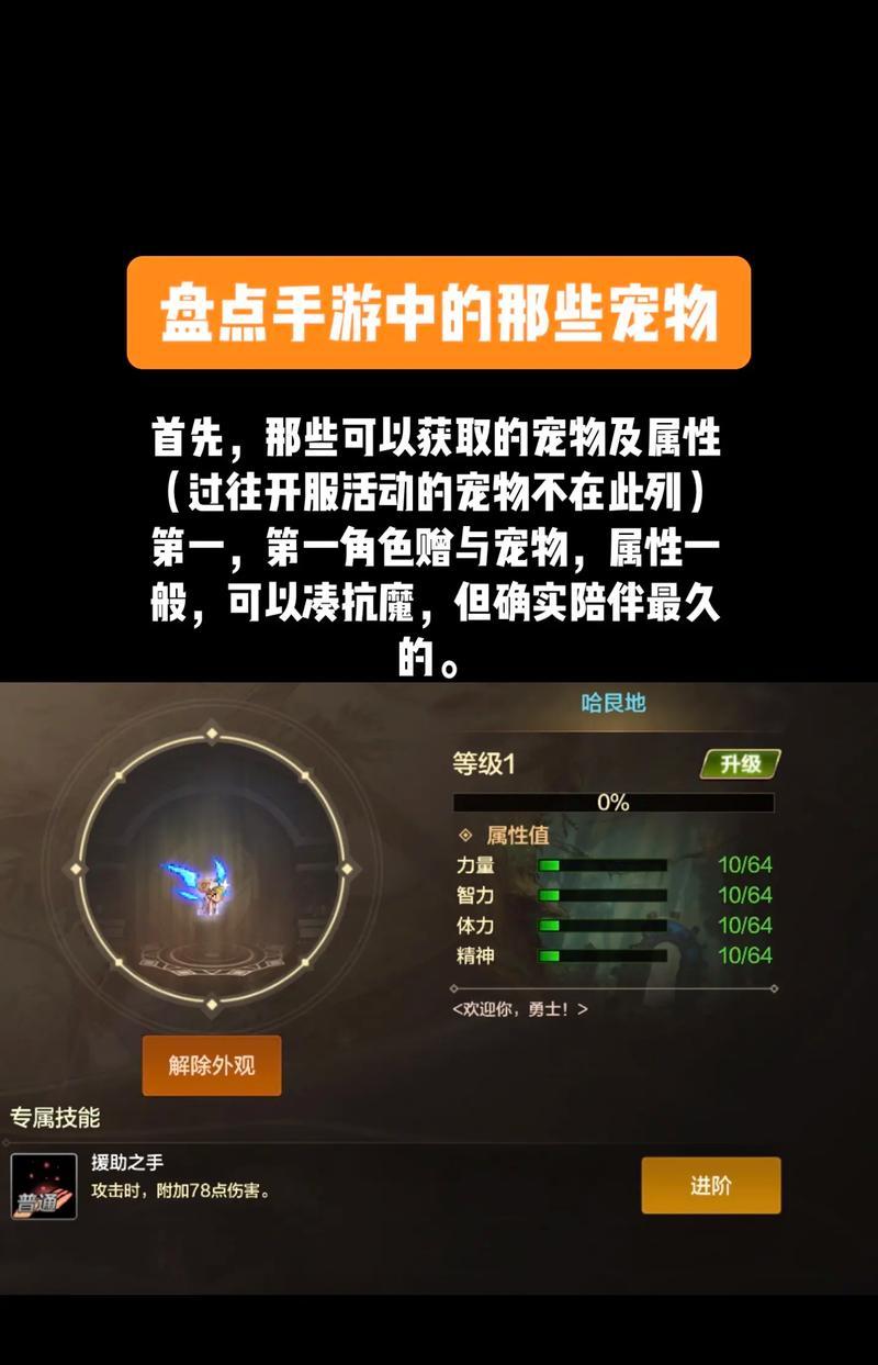 DNF宠物饼干回收方法是什么？回收饼干有什么好处？