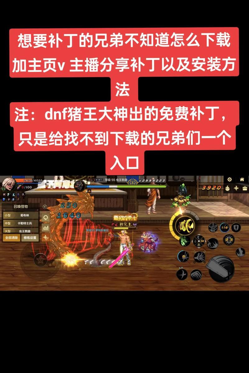 地下城猪王补丁的使用方法是什么？使用后有何影响？