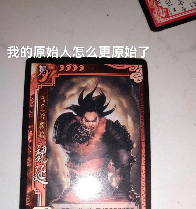三国杀游戏中乱出牌的后果是什么？