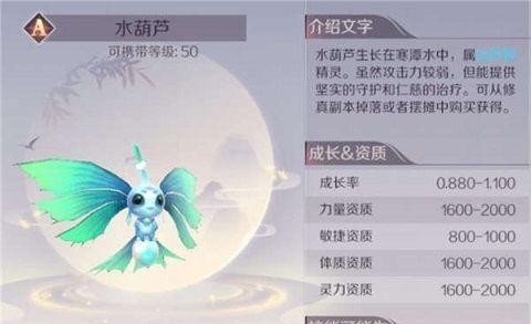 完美世界电脑自拍功能如何使用？操作步骤是什么？