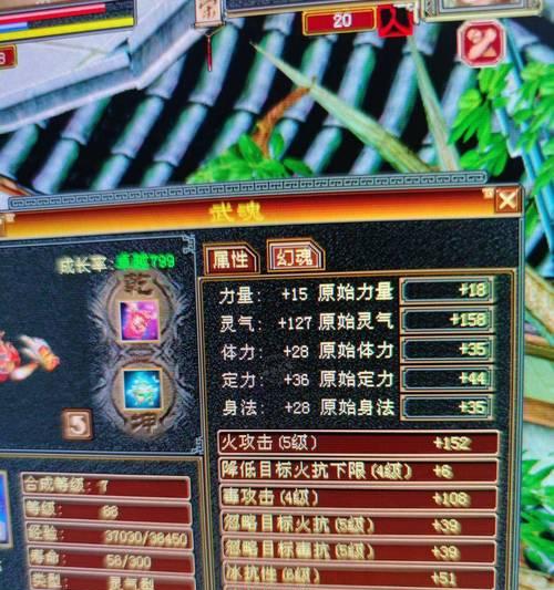 囚牛宠物领取后如何培养？