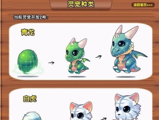 彩虹岛端游宠物获取方法是什么？有哪些宠物可获取？