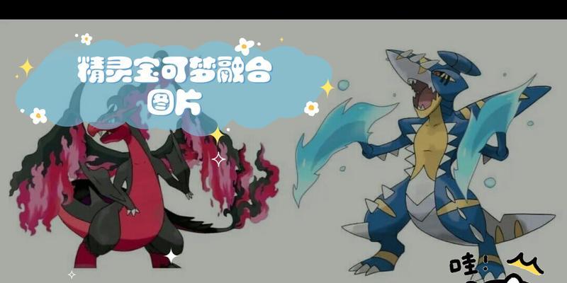 口袋妖怪融合玩法有哪些技巧？