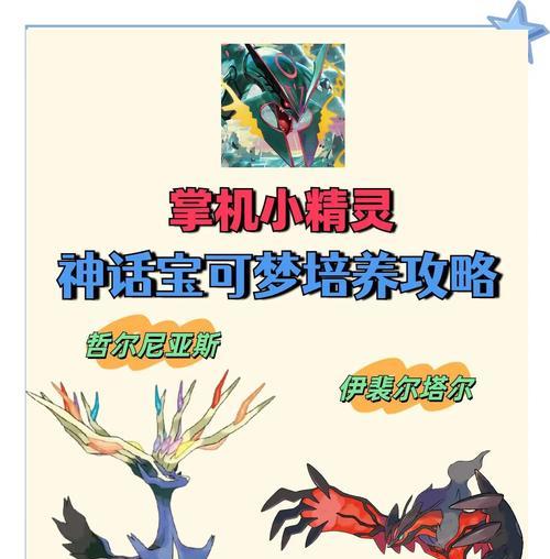 掌机口袋妖怪中文设置方法是什么？如何进行语言切换？