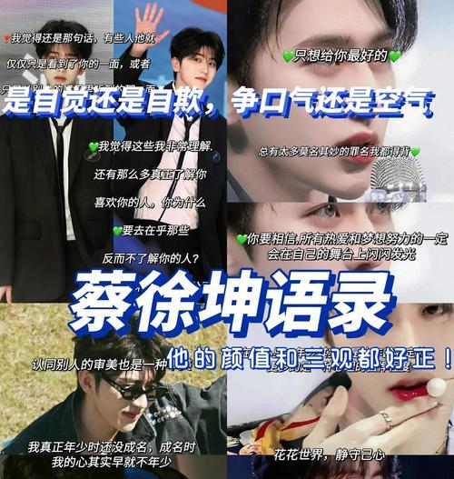 三国杀中蔡徐坤的语音台词有哪些？如何获取？