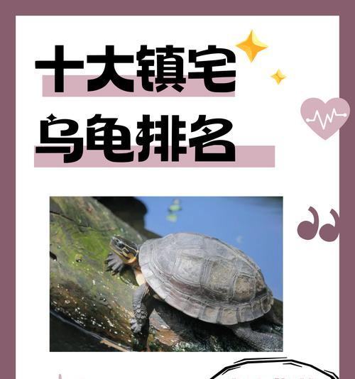 爆食龟进化条件是什么？如何进化爆食龟获得更强能力？