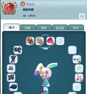 彩虹岛显示等级的方法是什么？